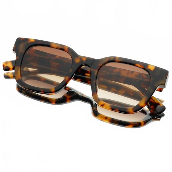 Freyrs Atlas Tortoise - Picture 3 of 5